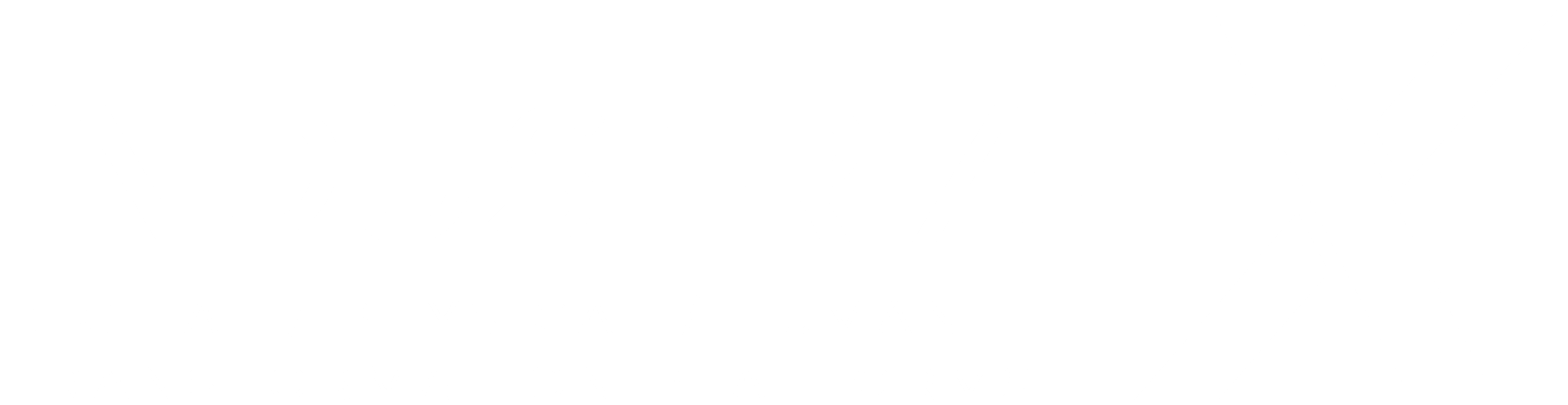 INDUSTRIAL-X
